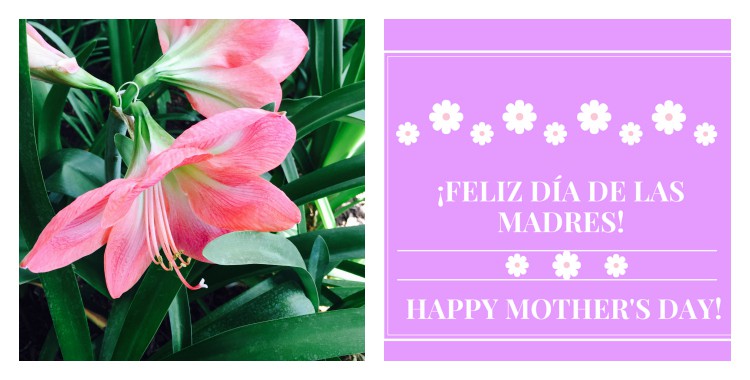 Download Free Mother S Day Cards In English And Spanish Hispana Global