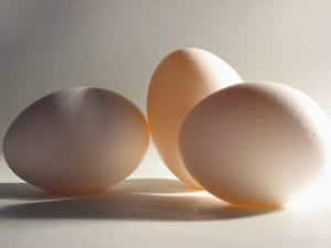 eggs light