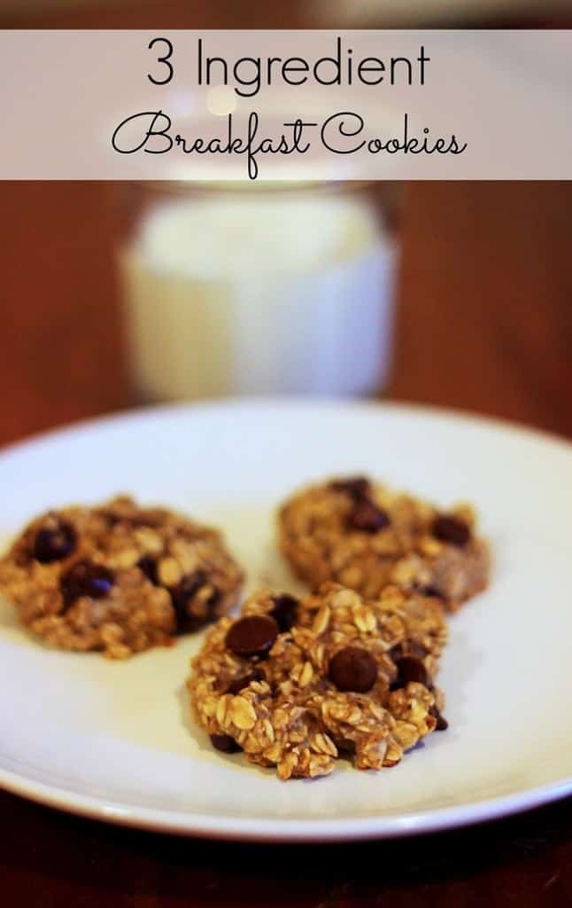 3 Ingredient Oatmeal Breakfast cookies