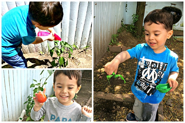 7 Reasons Why Gardening with Kids is Great