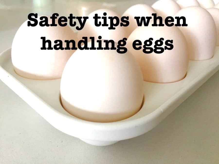 when-it-comes-to-eggs-keep-in-mind-these-5-tips-hispana-global