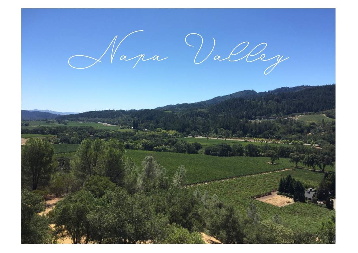 3 Things To Love When Traveling To Napa Valley