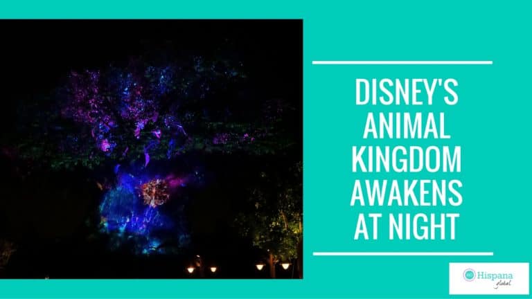 WATCH: Disney’s Animal Kingdom Awakens At Night