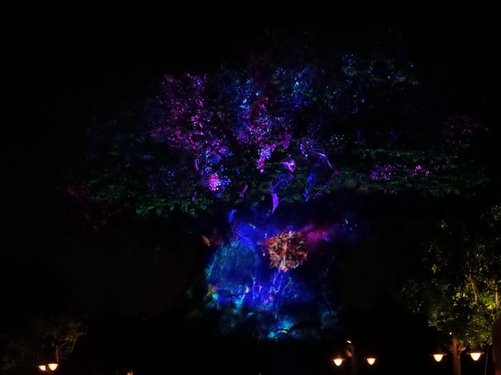 Tree of Life night time show