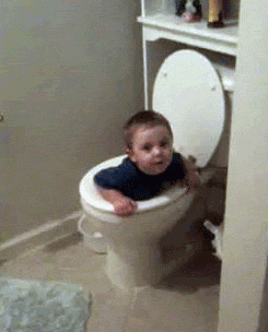 Baby in toilet gif