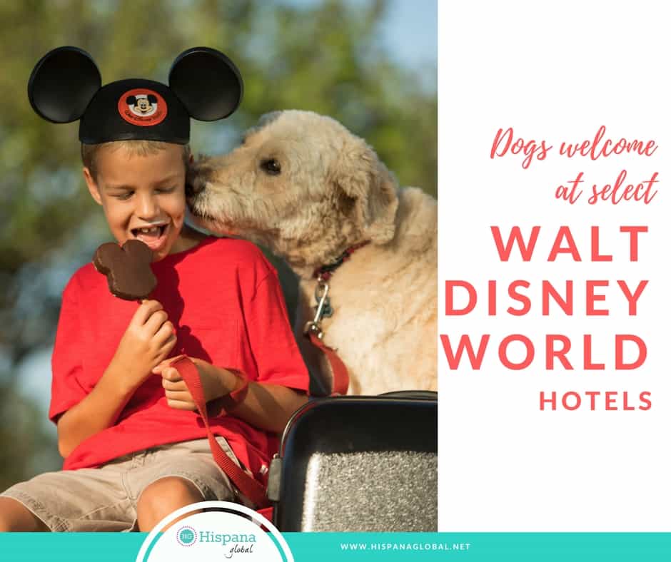 DOGS WELCOME AT select walt DISNEY WORLD hotels