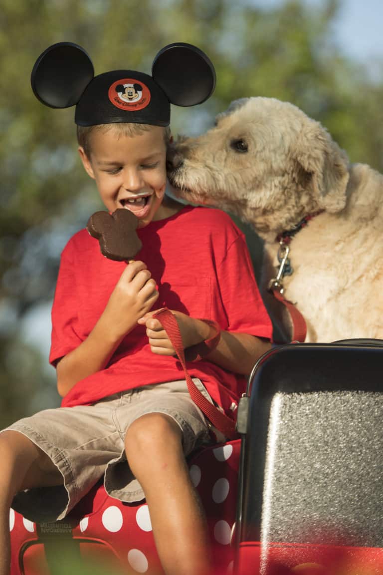 Dogs Now Welcome At Select Walt Disney World Hotels!
