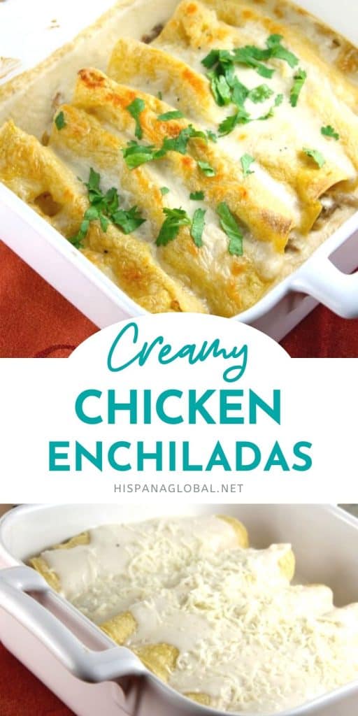 Creamy chicken enchiladas recipe