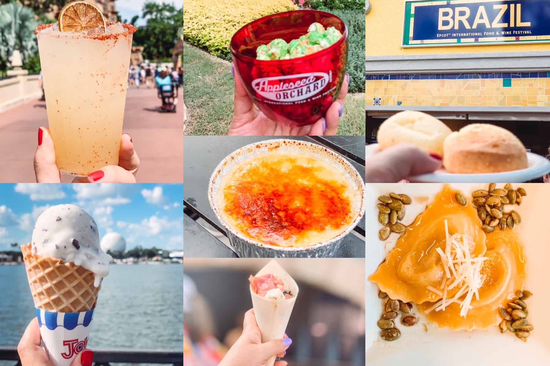 Everything You Need To Know About The Epcot International Food and Wine Festival