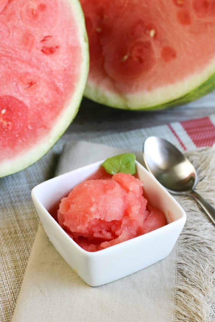 Homemade watermelon sorbet