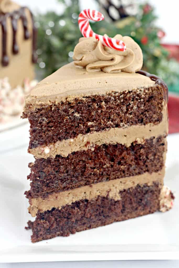 This candy cane chocolate cake is loaded with a sensational blend of flavors that leave you wanting more.