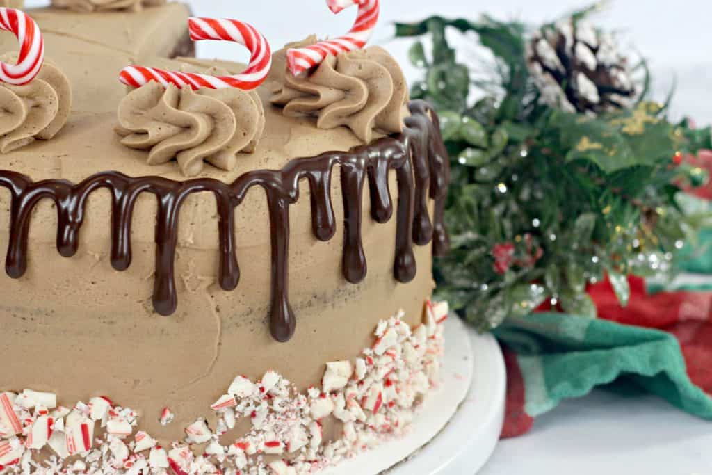 Chocolate Candy Cane Layer Cake