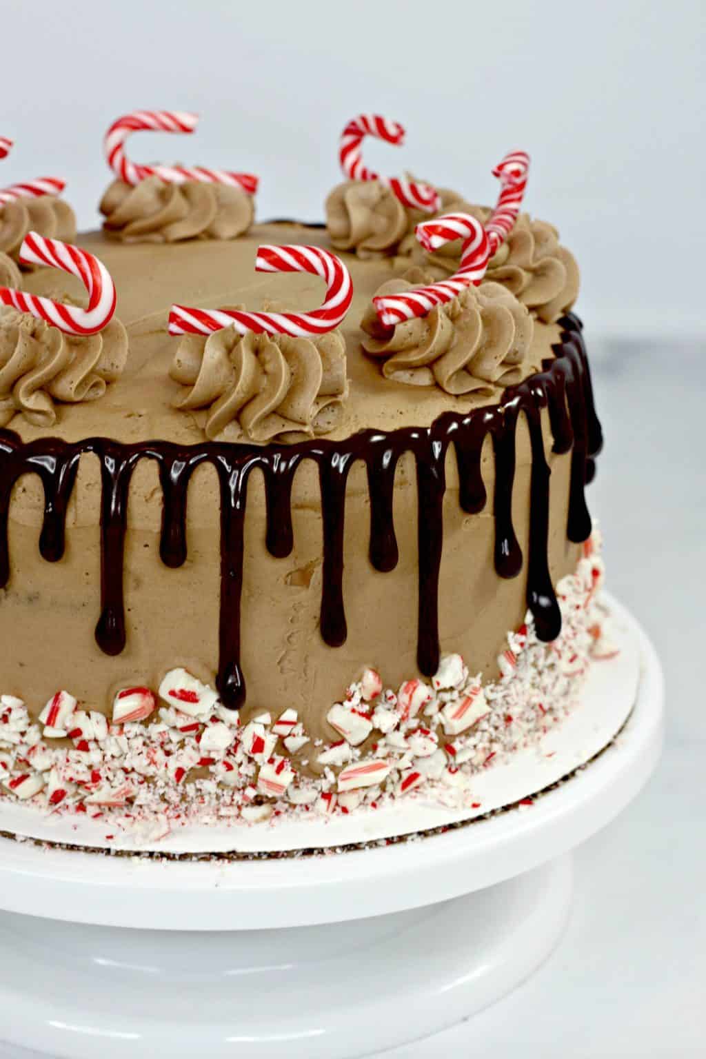 Candy Cane Chocolate Cake Recipe - Hispana Global