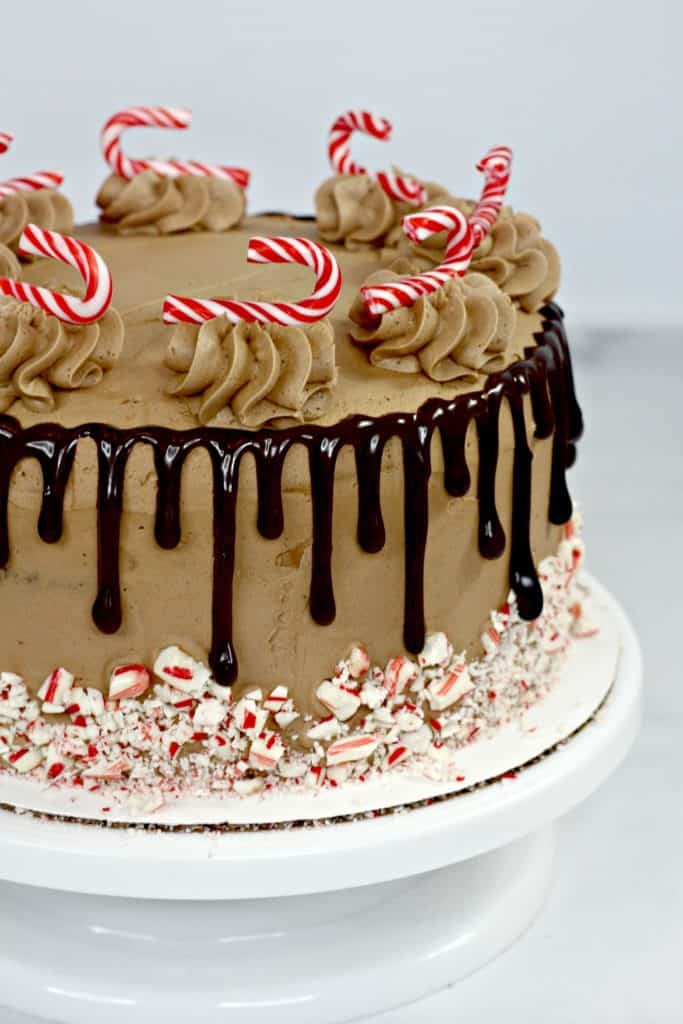 This candy cane chocolate cake is loaded with a sensational blend of flavors that leave you wanting more.