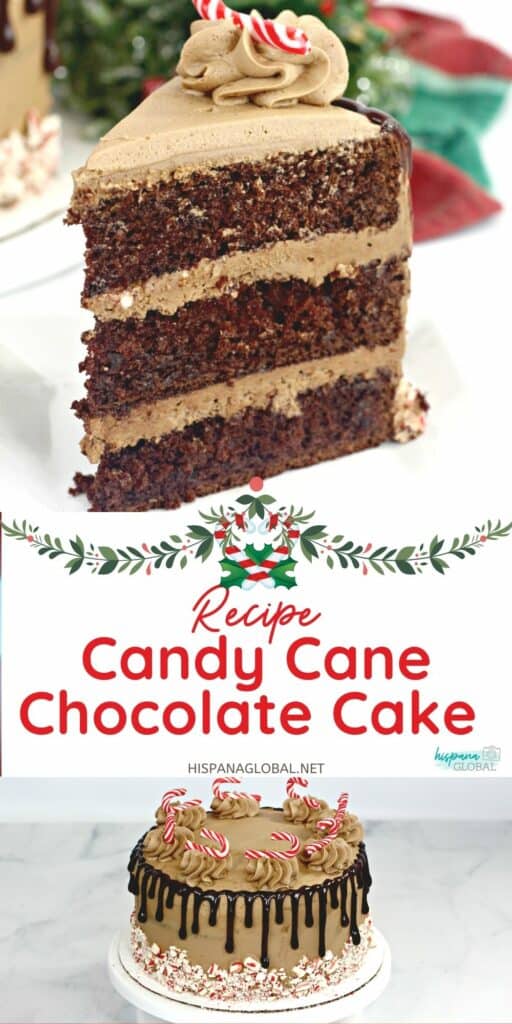 This candy cane chocolate cake is loaded with a sensational blend of flavors that leave you wanting more. It's perfect for any Christmas party!