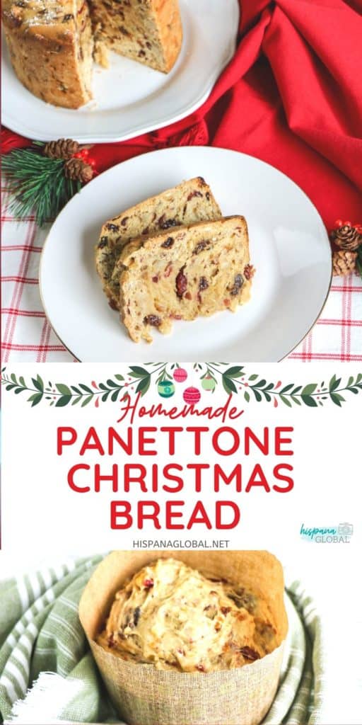 Panettone or Christmas bread is a yummy holiday tradition. Learn how to bake it at home. It's a delicious homemade gift!