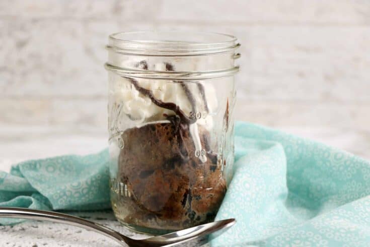 Looking for a decadent dessert for one? This chocolate mug cake is low carb, gluten-free and has no added sugar!