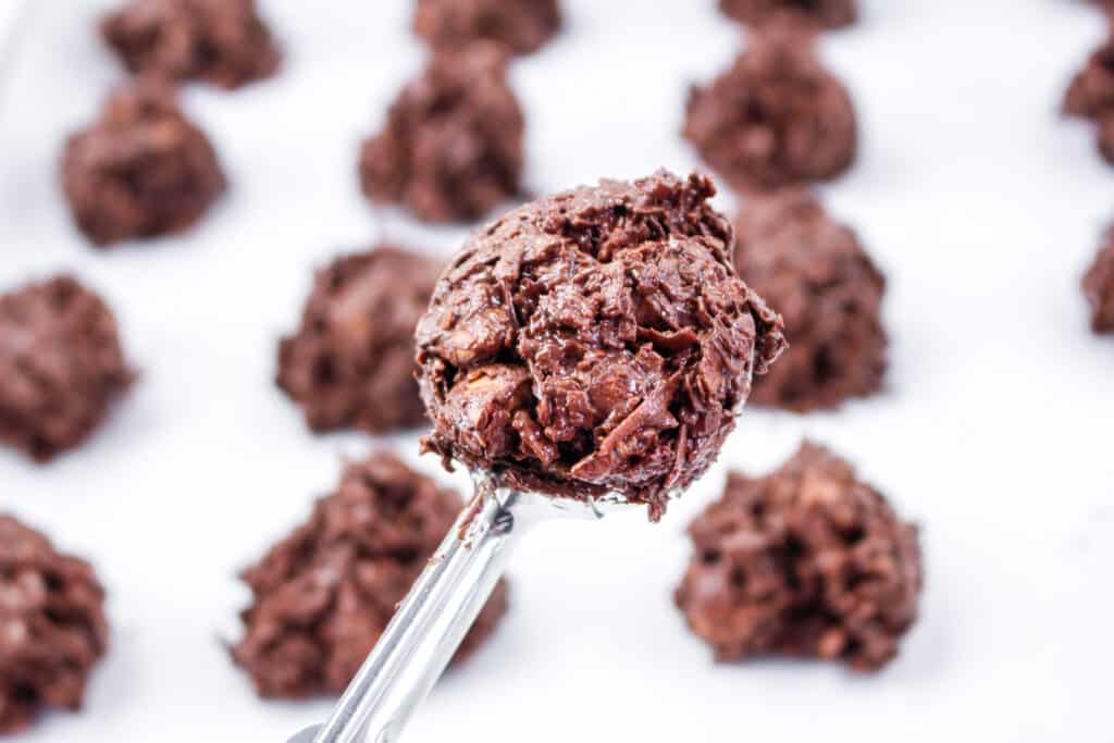 These delicious and easy chocolate coconut clusters only need three ingredients. They are so good! Plus, they're gluten-free and a great Passover treat.