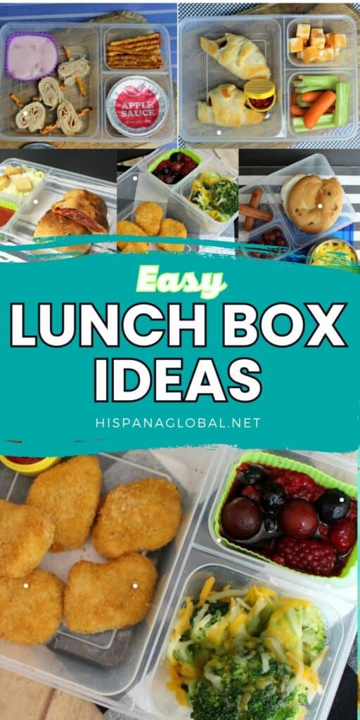 Back to school season means you need lunchbox ideas that your child will love. Here are 5 easy and delicious school lunch ideas you can make in minutes!