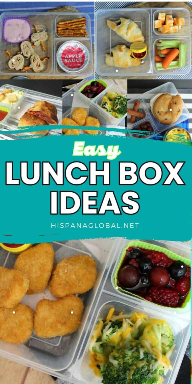 5 Easy Lunchbox Ideas Your Kids Will Love - Hispana Global