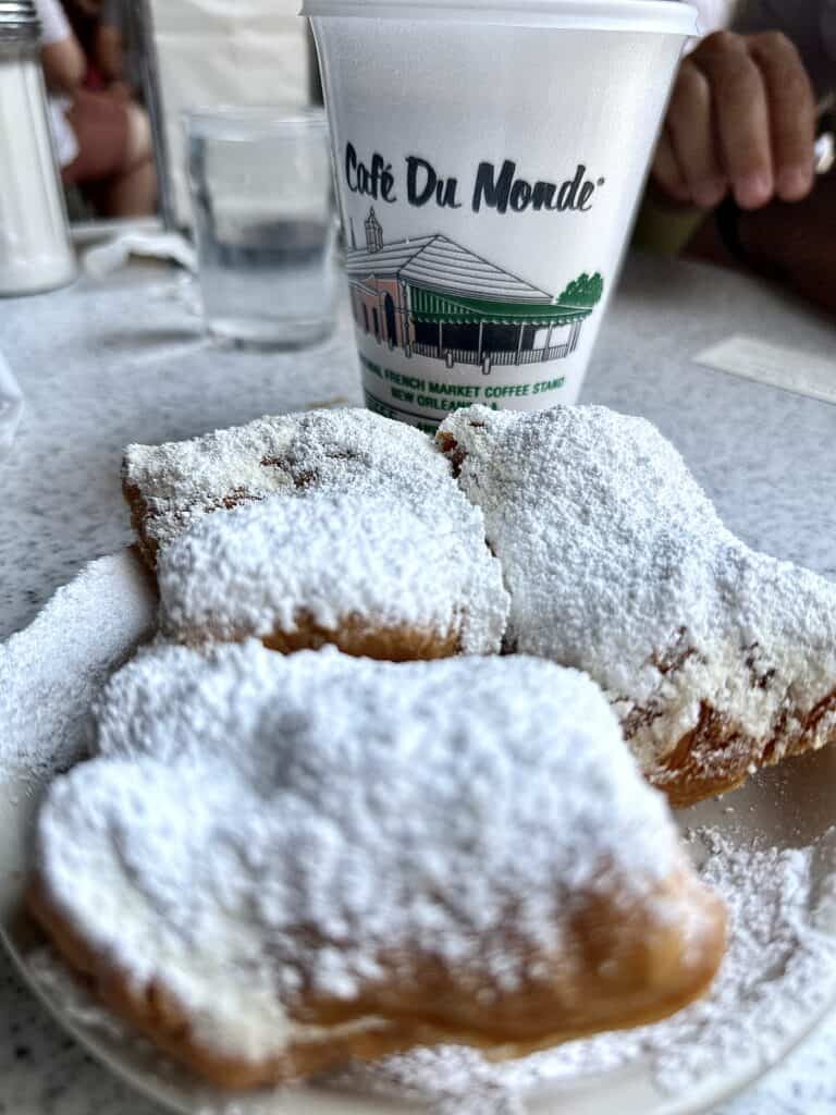 Thinking of traveling to New Orleans with your kids? While it might not be the first destination that comes to mind for a family vacation, this city has plenty to offer for travelers of all ages, including children. And of course, there are beignets!