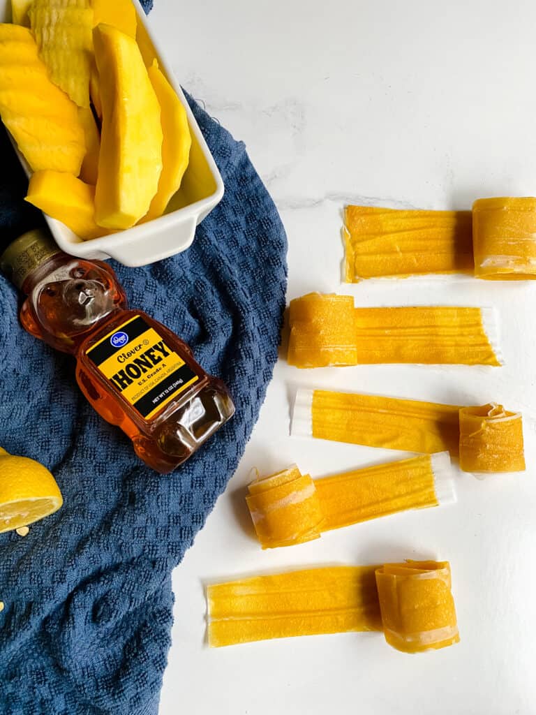 If you're looking for a delicious and nutritious snack, these Healthy Homemade Mango Fruit Roll-Ups are not only a treat for your taste buds. Plus, they are incredibly easy to make at home and naturally gluten-free!
