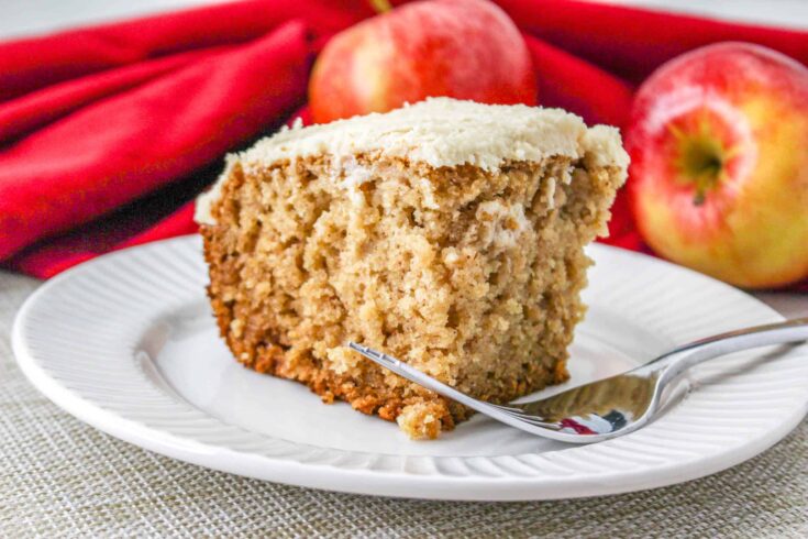 This moist gluten free flourless applesauce cake is truly delicious. It's also so easy to bake if you follow the simple instructions.