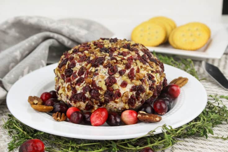 Cranberry pecan Cheeseball Recipe